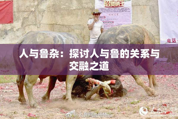 人与鲁杂：探讨人与鲁的关系与交融之道