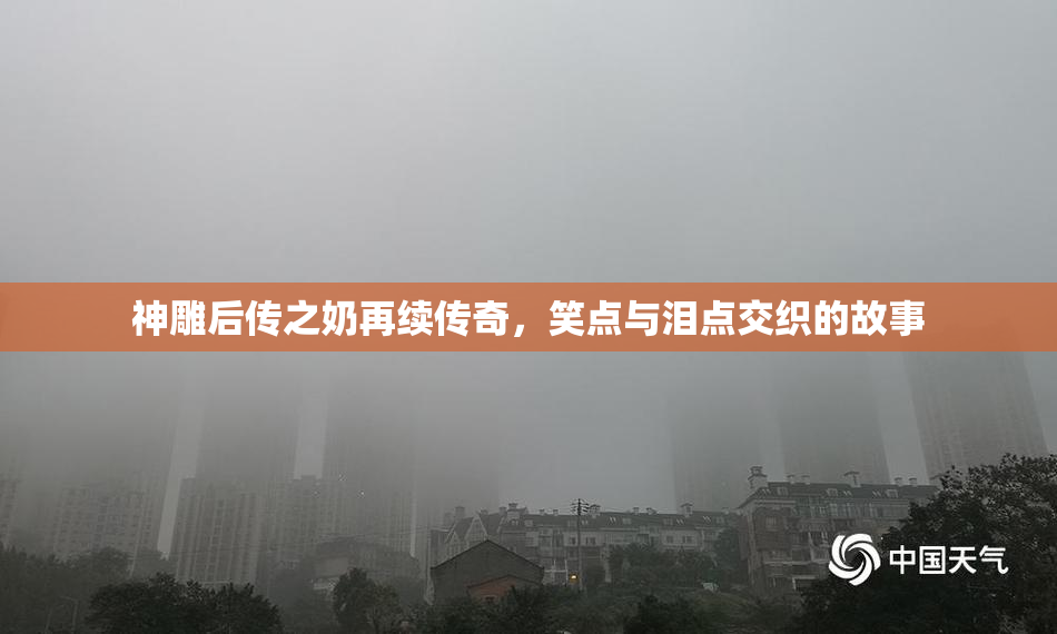 神雕后传之奶再续传奇，笑点与泪点交织的故事