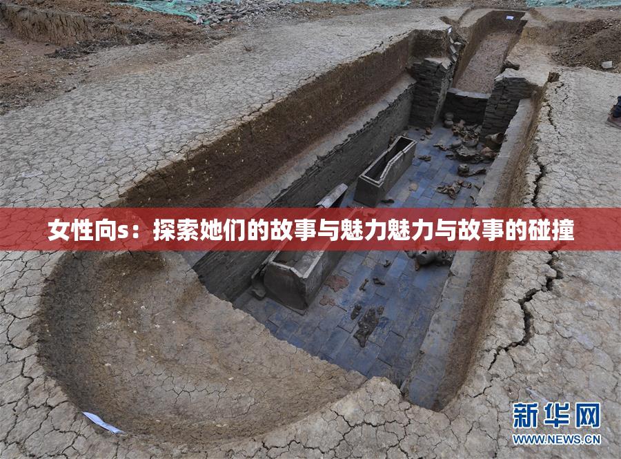 女性向s：探索她们的故事与魅力魅力与故事的碰撞