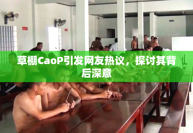 草棚CaoP引发网友热议，探讨其背后深意