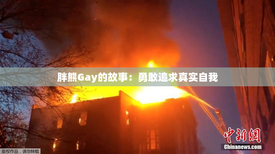 胖熊Gay的故事：勇敢追求真实自我