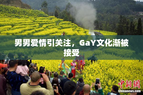 男男爱情引关注，GaY文化渐被接受