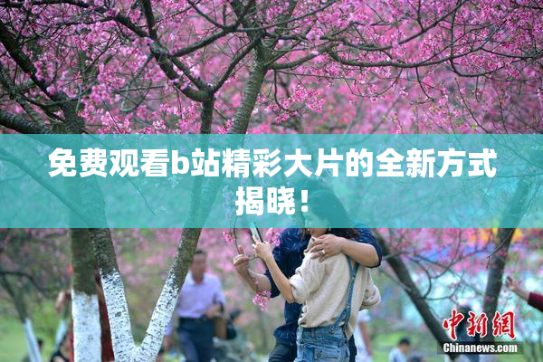 免费观看b站精彩大片的全新方式揭晓！
