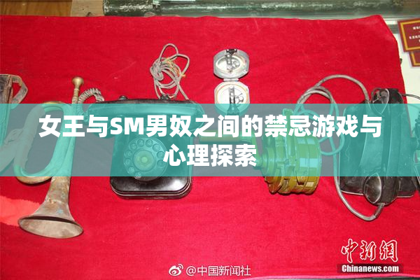 女王与SM男奴之间的禁忌游戏与心理探索