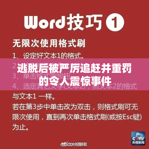 逃脱后被严厉追赶并重罚的令人震惊事件