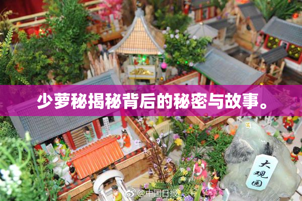 少萝秘揭秘背后的秘密与故事。