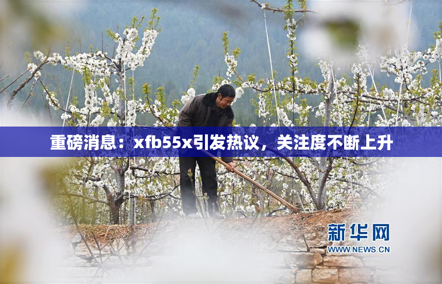 重磅消息：xfb55x引发热议，关注度不断上升