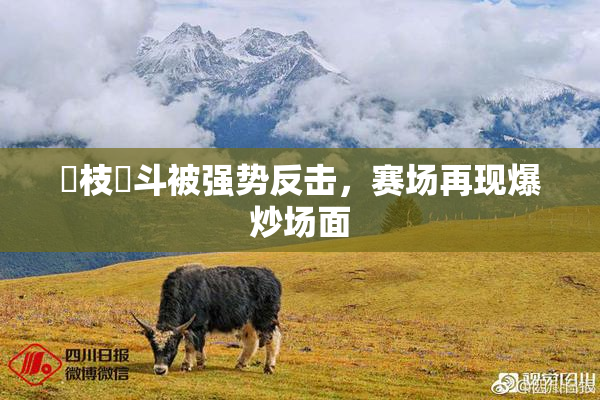 狛枝凪斗被强势反击，赛场再现爆炒场面