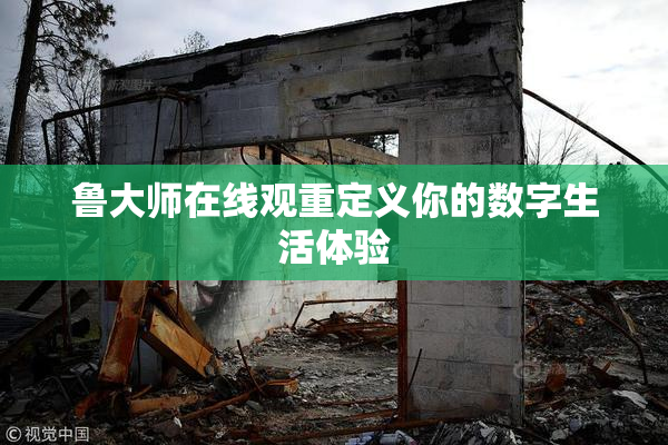 鲁大师在线观重定义你的数字生活体验