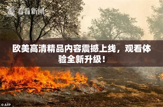 欧美高清精品内容震撼上线，观看体验全新升级！
