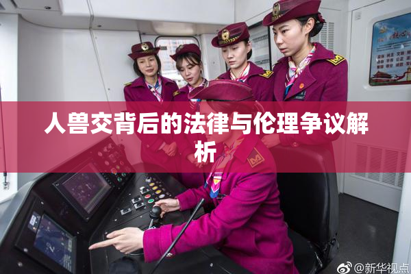 人兽交背后的法律与伦理争议解析