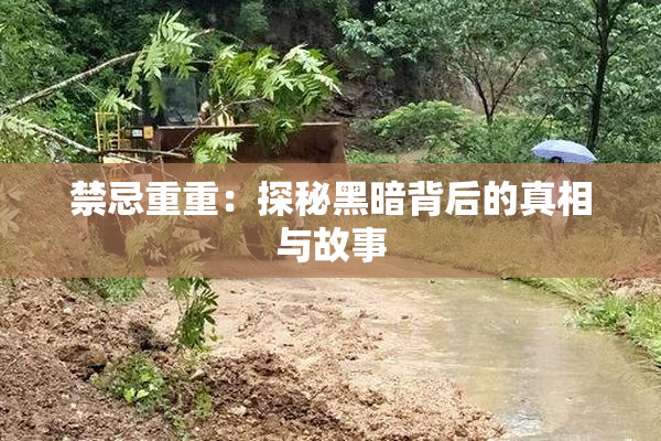 禁忌重重：探秘黑暗背后的真相与故事