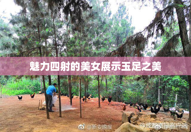 魅力四射的美女展示玉足之美