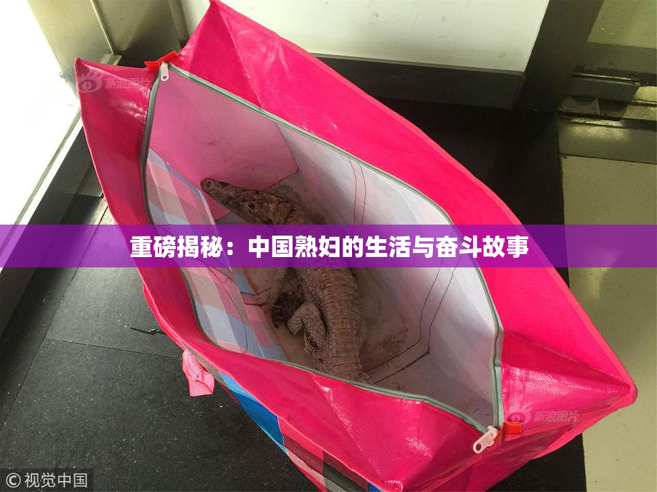 重磅揭秘：中国熟妇的生活与奋斗故事