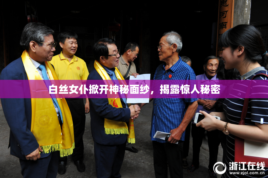 白丝女仆掀开神秘面纱，揭露惊人秘密