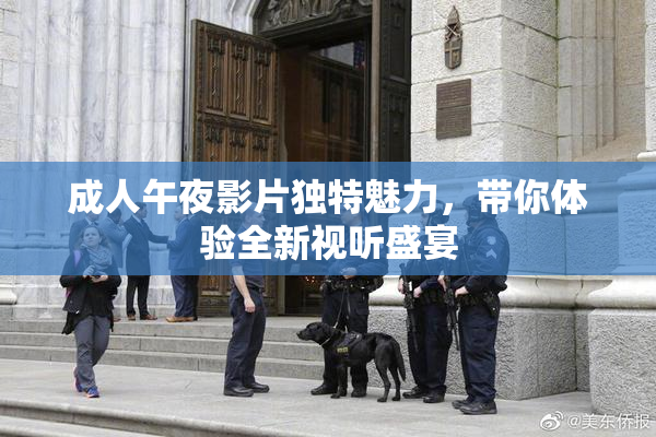 成人午夜影片独特魅力，带你体验全新视听盛宴
