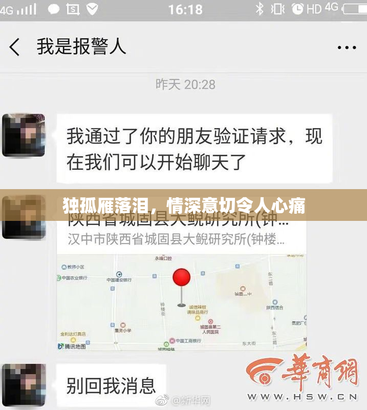 独孤雁落泪，情深意切令人心痛