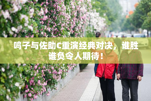 鸣子与佐助C重演经典对决，谁胜谁负令人期待！