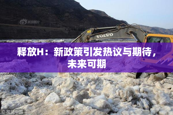 释放H：新政策引发热议与期待，未来可期
