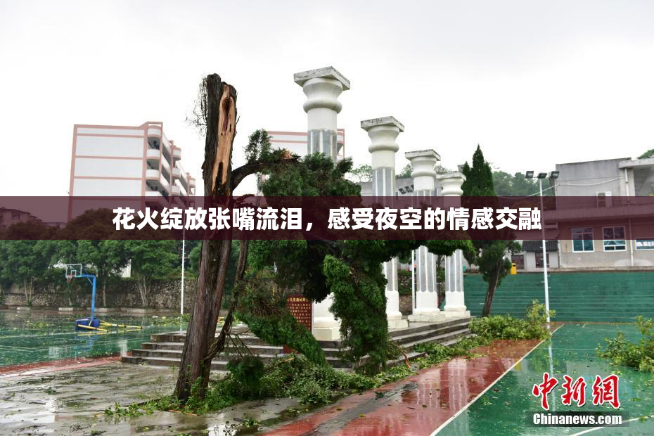 花火绽放张嘴流泪，感受夜空的情感交融