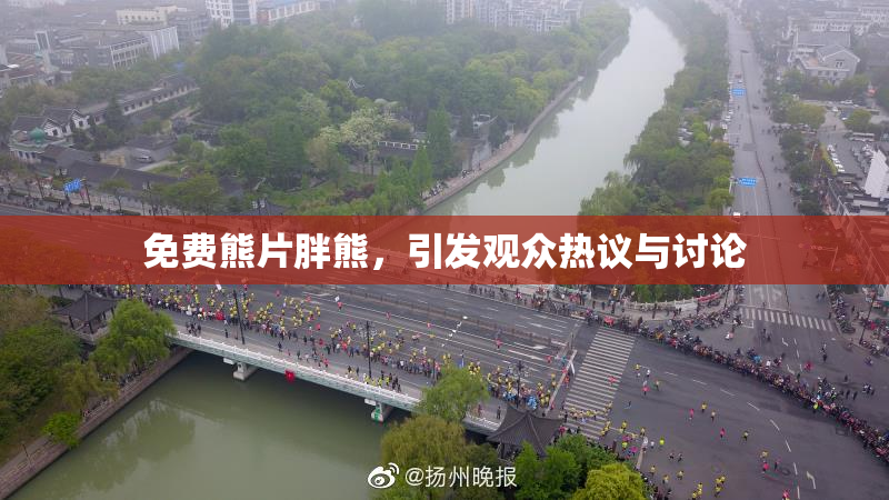 免费熊片胖熊，引发观众热议与讨论