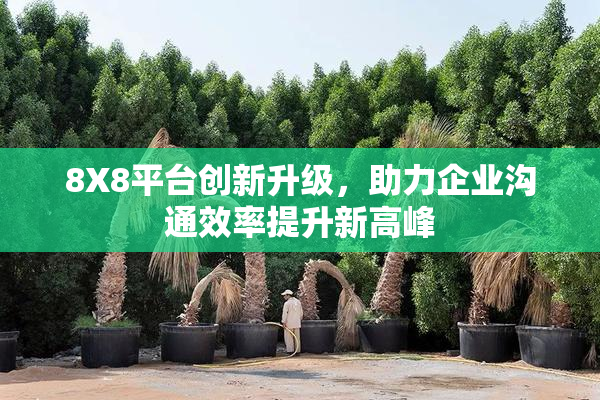 8X8平台创新升级，助力企业沟通效率提升新高峰