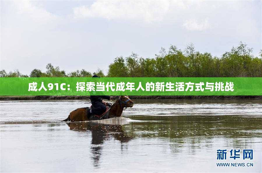 成人91C：探索当代成年人的新生活方式与挑战