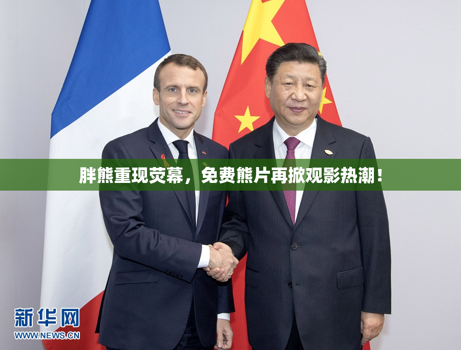 胖熊重现荧幕，免费熊片再掀观影热潮！