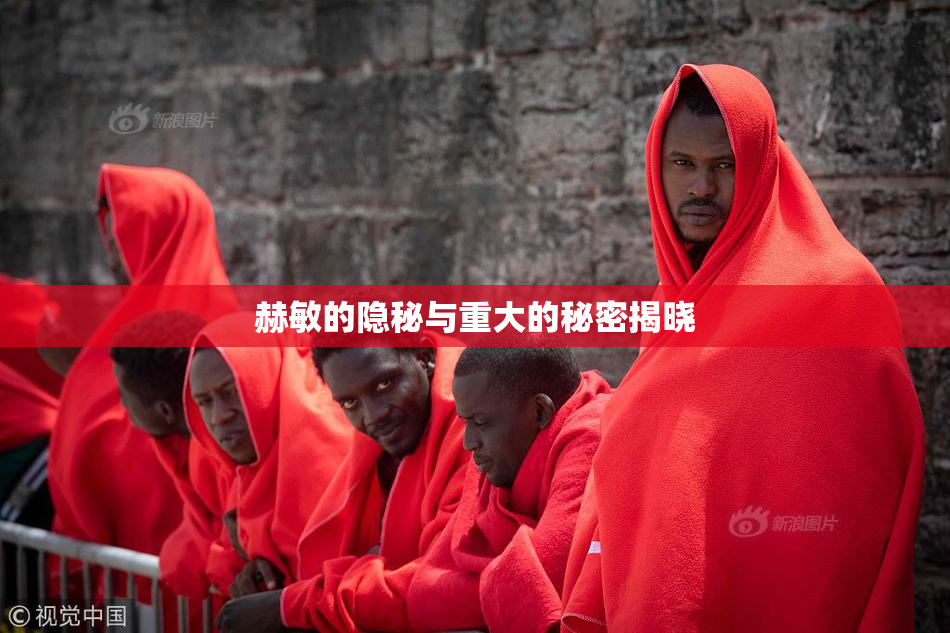赫敏的隐秘与重大的秘密揭晓