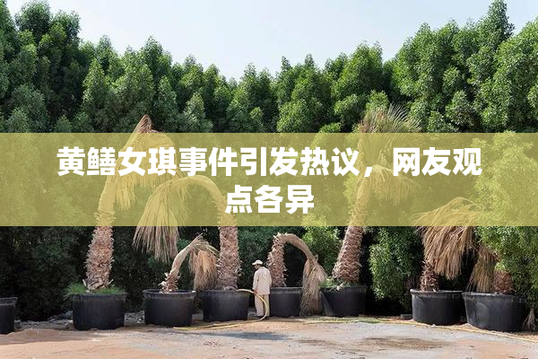 黄鳝女琪事件引发热议，网友观点各异