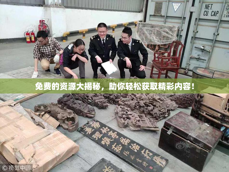 免费的资源大揭秘，助你轻松获取精彩内容！