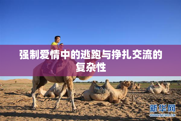 强制爱情中的逃跑与挣扎交流的复杂性