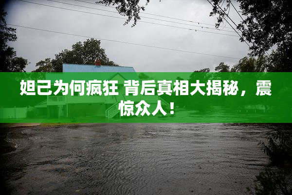 妲己为何疯狂 背后真相大揭秘，震惊众人！