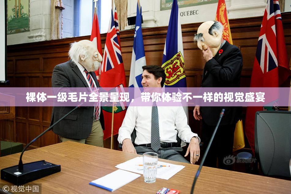 裸体一级毛片全景呈现，带你体验不一样的视觉盛宴