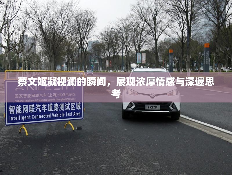 蔡文姬凝视澜的瞬间，展现浓厚情感与深邃思考
