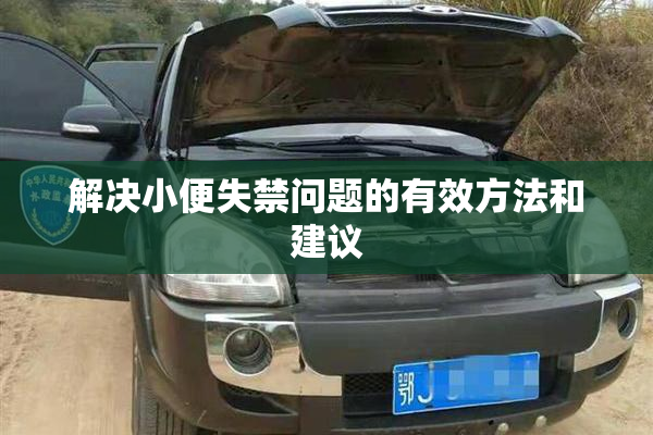 解决小便失禁问题的有效方法和建议