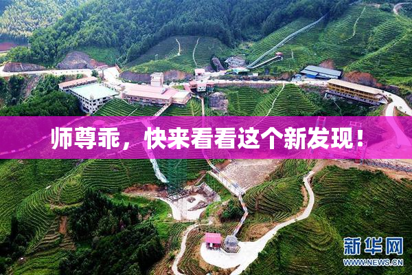 师尊乖，快来看看这个新发现！