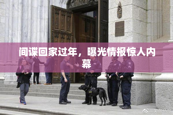 间谍回家过年，曝光情报惊人内幕