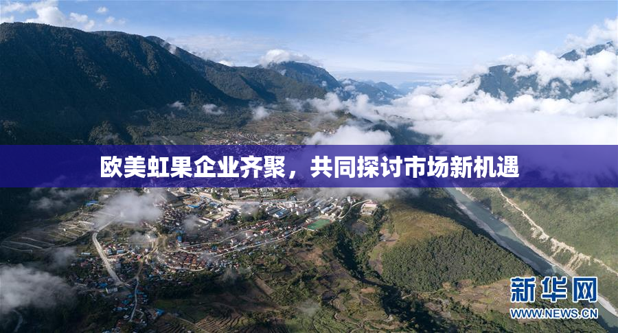 欧美虹果企业齐聚，共同探讨市场新机遇