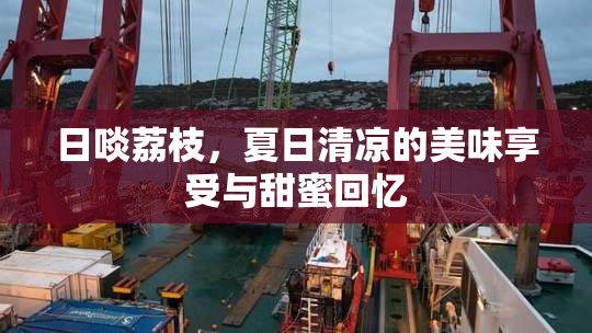 日啖荔枝，夏日清凉的美味享受与甜蜜回忆
