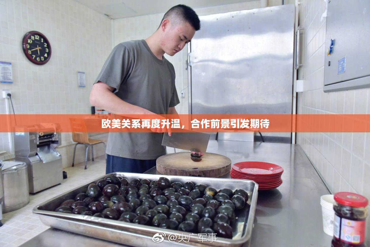 欧美关系再度升温，合作前景引发期待