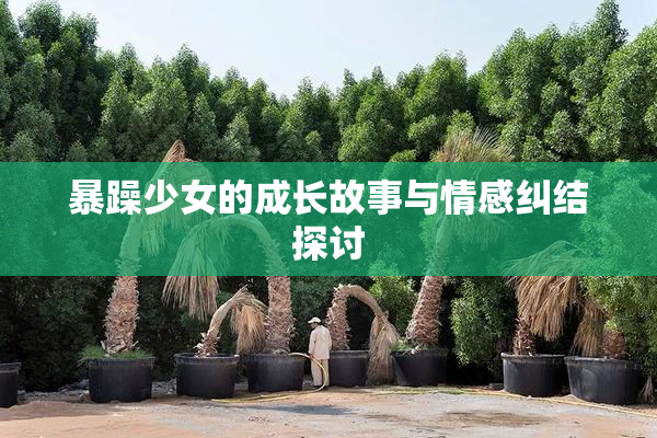 暴躁少女的成长故事与情感纠结探讨