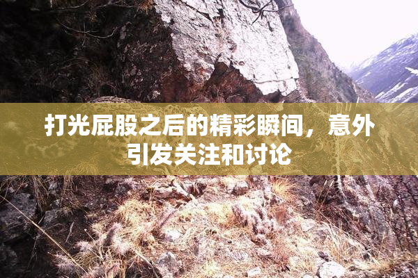 打光屁股之后的精彩瞬间，意外引发关注和讨论