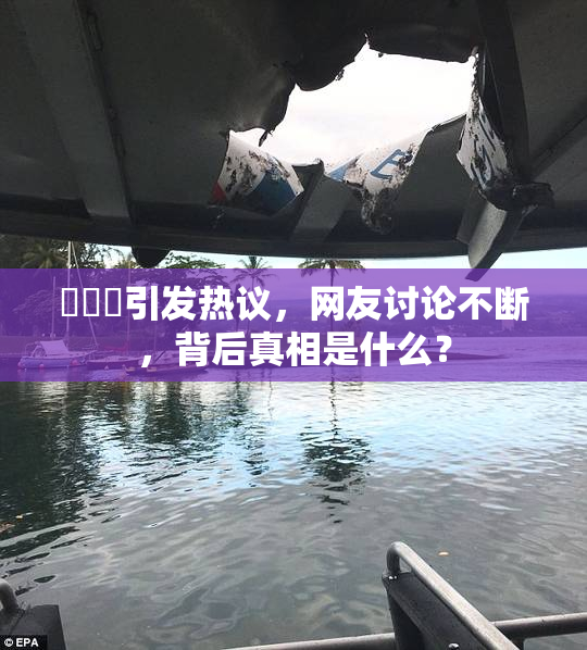 逹葢薾引发热议，网友讨论不断，背后真相是什么？