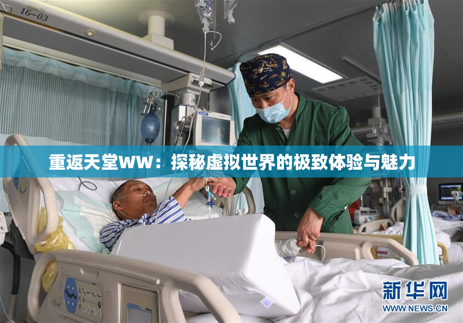 重返天堂WW：探秘虚拟世界的极致体验与魅力