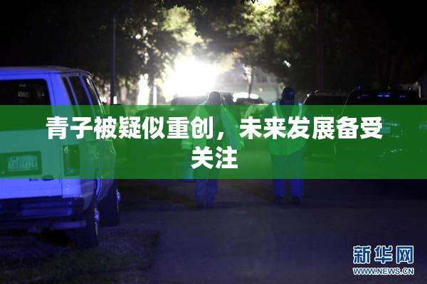 青子被疑似重创，未来发展备受关注