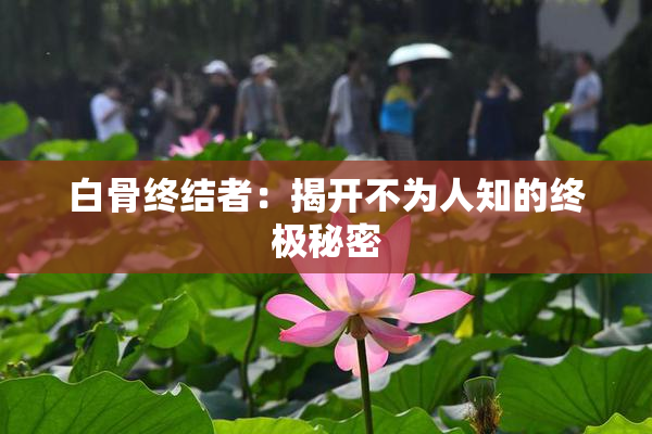 白骨终结者：揭开不为人知的终极秘密