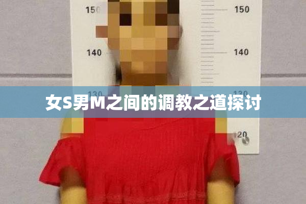 女S男M之间的调教之道探讨