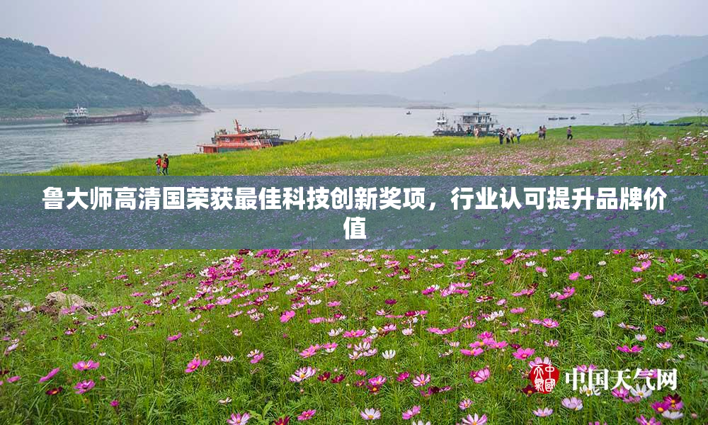 鲁大师高清国荣获最佳科技创新奖项，行业认可提升品牌价值