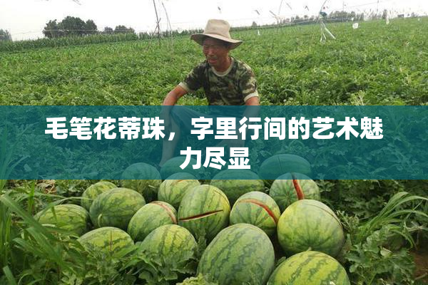 毛笔花蒂珠，字里行间的艺术魅力尽显